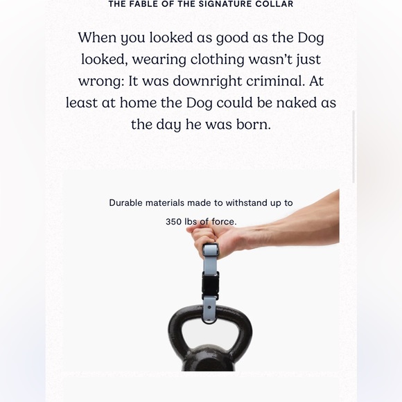 EUC XS Fable Collar - Picture 4 of 9